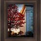 Nauvoo Hope For Tomorrow
