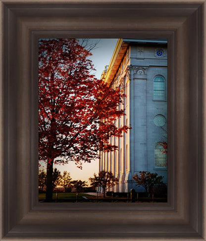 Nauvoo Hope For Tomorrow