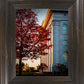 Nauvoo Hope For Tomorrow