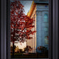 Nauvoo Hope For Tomorrow