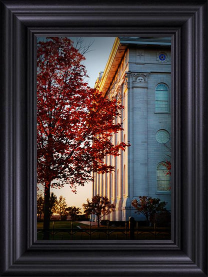 Nauvoo Hope For Tomorrow