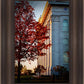 Nauvoo Hope For Tomorrow