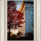 Nauvoo Hope For Tomorrow