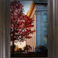 Nauvoo Hope For Tomorrow