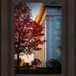 Nauvoo Hope For Tomorrow