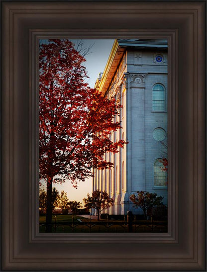 Nauvoo Hope For Tomorrow