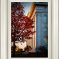 Nauvoo Hope For Tomorrow
