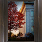 Nauvoo Hope For Tomorrow
