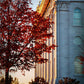 Nauvoo Hope For Tomorrow