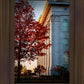 Nauvoo Hope For Tomorrow