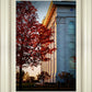 Nauvoo Hope For Tomorrow
