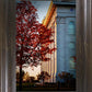 Nauvoo Hope For Tomorrow