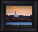 Nauvoo Miracle Of The Quail