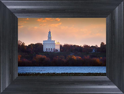 Nauvoo Miracle Of The Quail