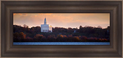 Nauvoo Miracle Of The Quail