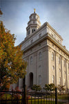 Nauvoo Pillar Of Strength