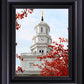 Nauvoo Red Leaves Over Spire