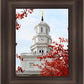 Nauvoo Red Leaves Over Spire