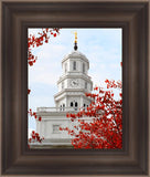 Nauvoo Red Leaves Over Spire