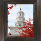 Nauvoo Red Leaves Over Spire