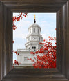 Nauvoo Red Leaves Over Spire