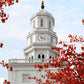 Nauvoo Red Leaves Over Spire