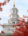 Nauvoo Red Leaves Over Spire