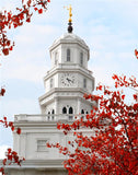 Nauvoo Red Leaves Over Spire