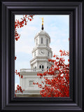 Nauvoo Red Leaves Over Spire