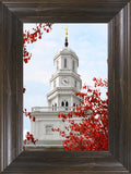 Nauvoo Red Leaves Over Spire