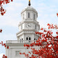 Nauvoo Red Leaves Over Spire
