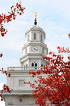 Nauvoo Red Leaves Over Spire