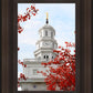 Nauvoo Red Leaves Over Spire