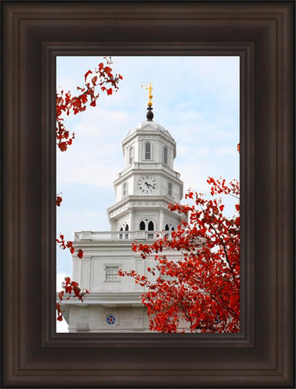 Nauvoo Red Leaves Over Spire