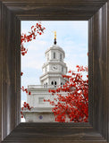 Nauvoo Red Leaves Over Spire