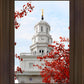 Nauvoo Red Leaves Over Spire