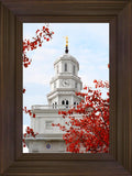 Nauvoo Red Leaves Over Spire