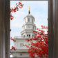 Nauvoo Red Leaves Over Spire