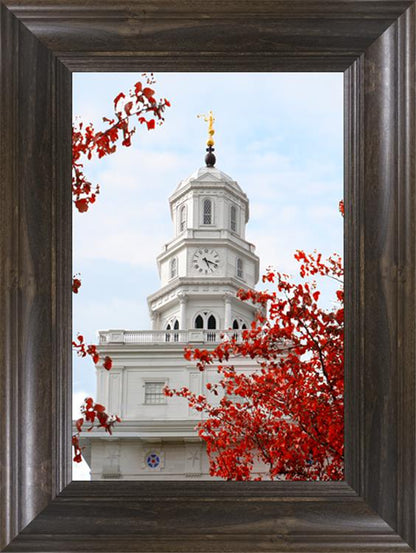 Nauvoo Red Leaves Over Spire