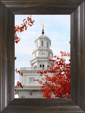 Nauvoo Red Leaves Over Spire