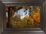 Nauvoo Young Street Farm