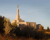 Reno Temple Sunset