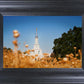 Sacramento Cotton Grass