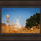 Sacramento Cotton Grass