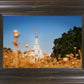 Sacramento Cotton Grass