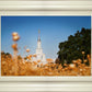 Sacramento Cotton Grass