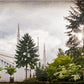 Portland, The Day Dawn Is Breaking