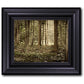 Sacred Grove