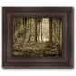 Sacred Grove