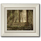 Sacred Grove